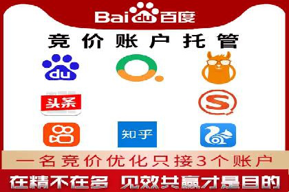 SEM推广托管，案例展示转化率提升